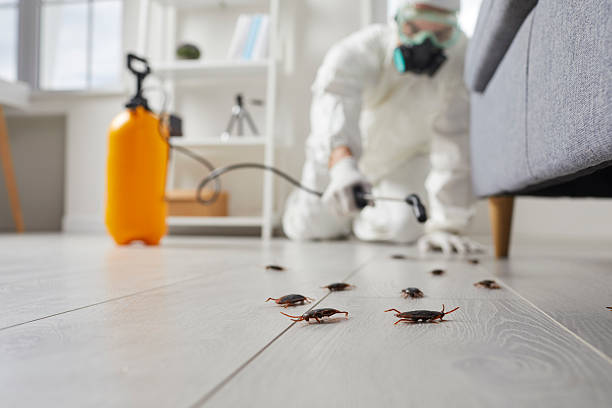 Commercial Kitchen Cockroach Control in Gosnell